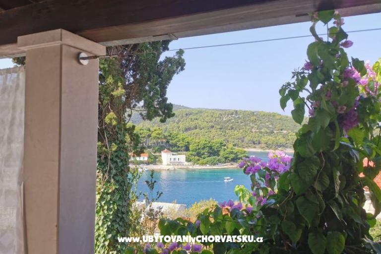 Dům Bjedov – foto 27