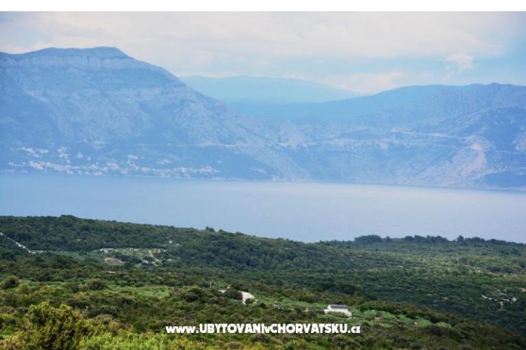 Dům Sweet Dreams – foto 14