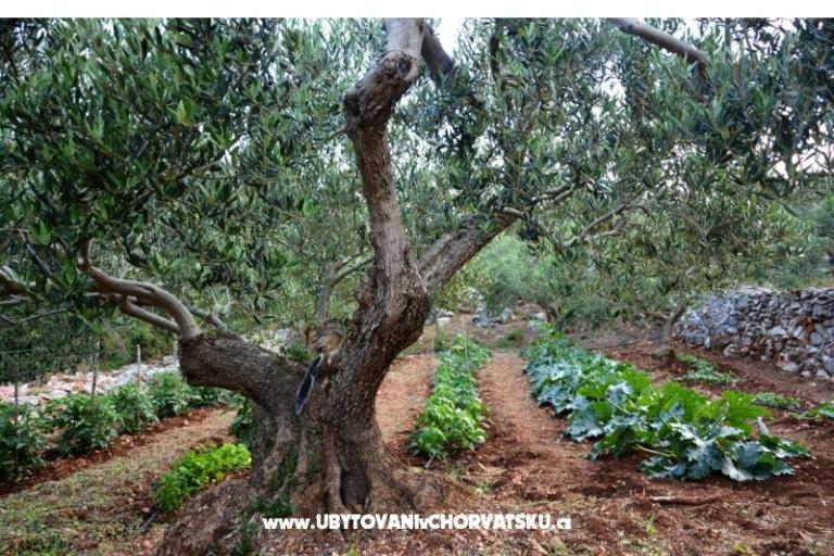 Dům Sweet Dreams – foto 15