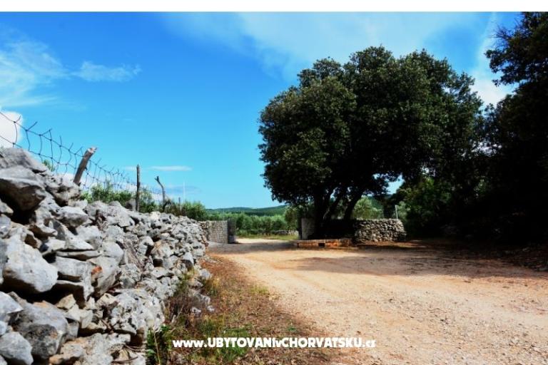 Dům Sweet Dreams – foto 4