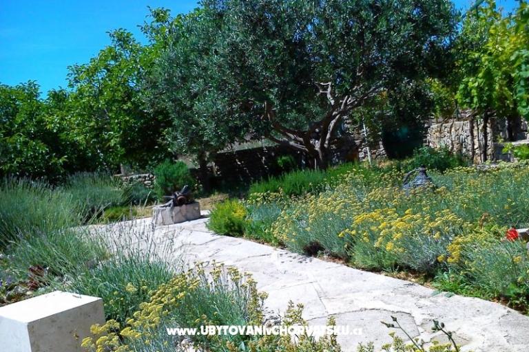 Dům k odpočinku Ratac**** – foto 10