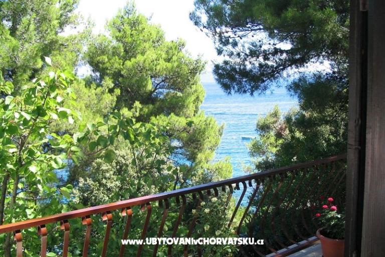 Sea Dům – foto 16