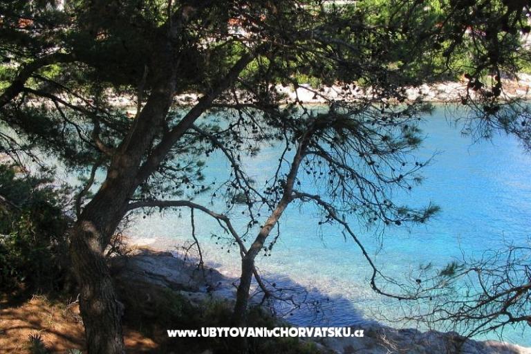 Sea Dům – foto 17