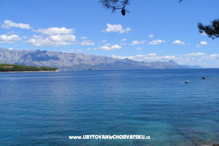 Sea Dům – foto 18