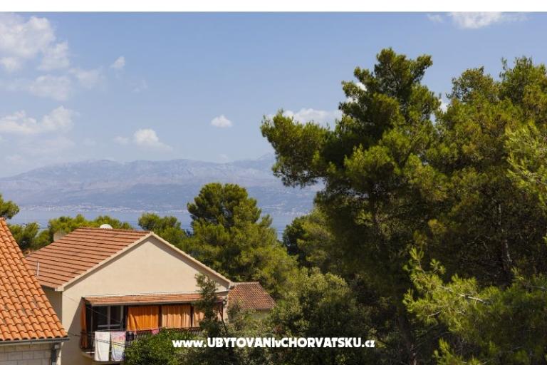 Seaview apartment Andrea 200 m from – foto 11