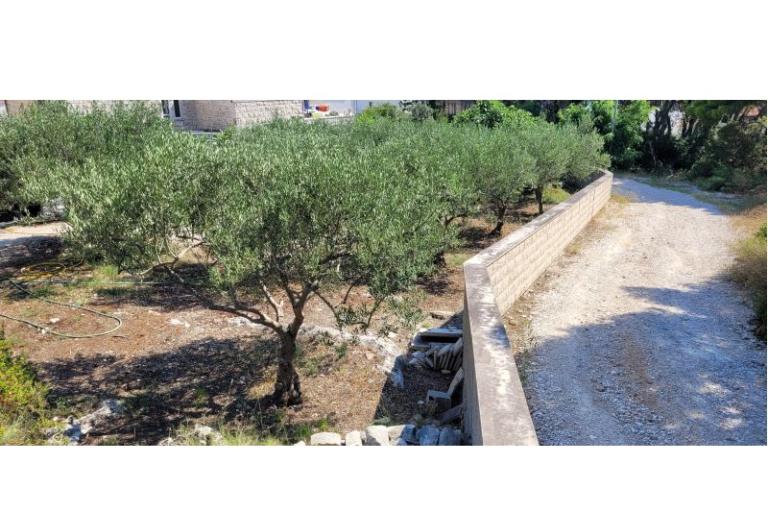 Villa Canadiana – foto 37