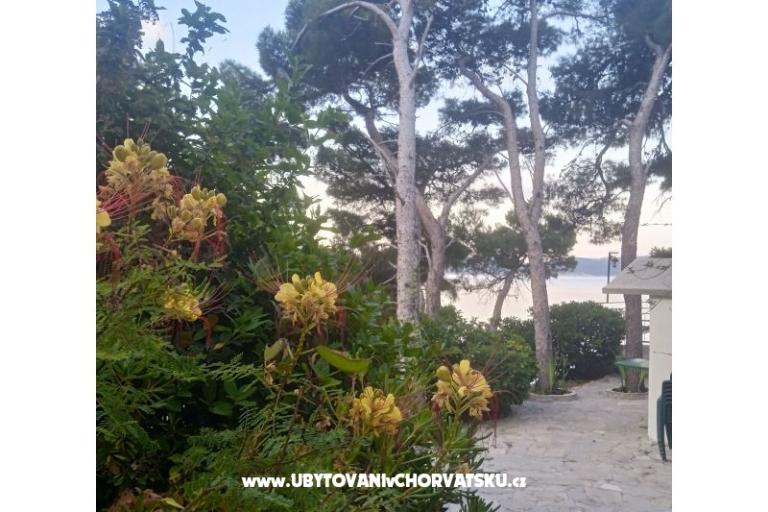 Accommodation Leon – foto 28