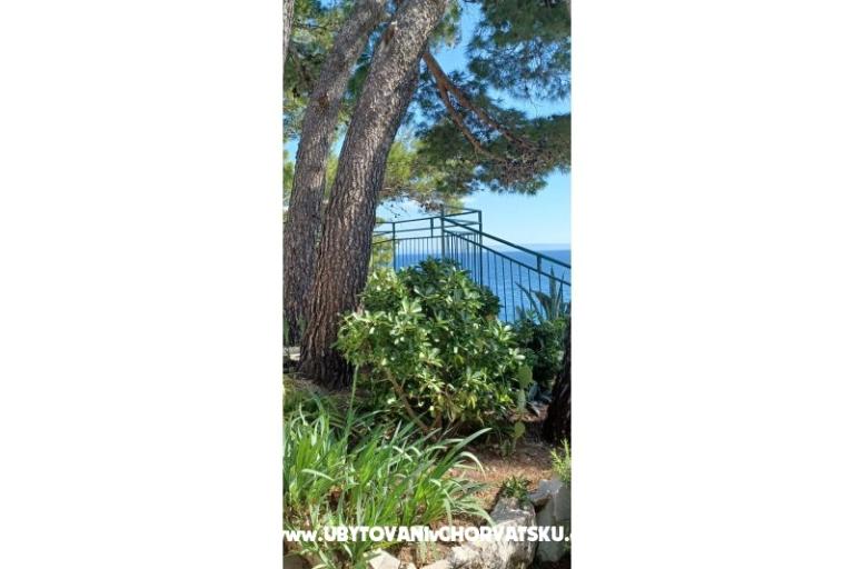 Accommodation Leon – foto 6