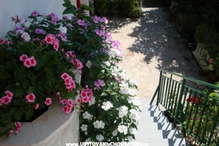 Apartmán Nada Žamić – foto 7