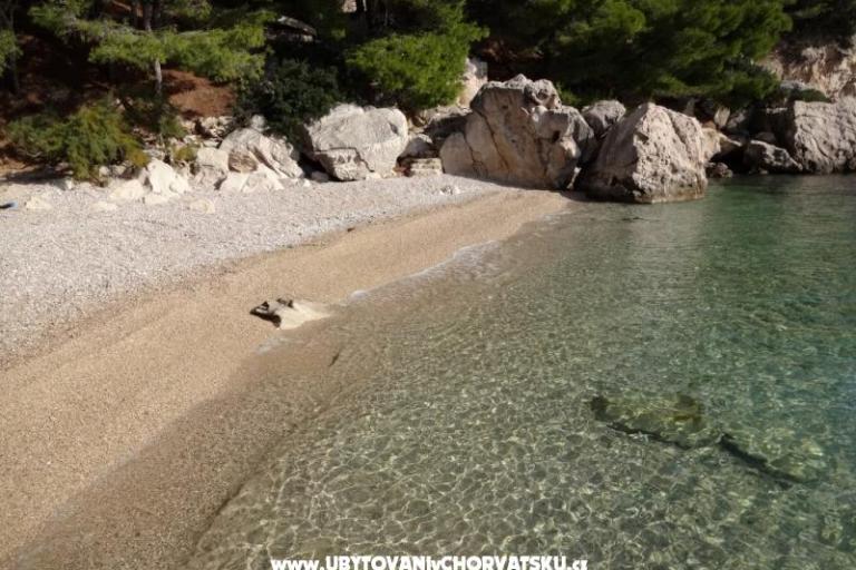 Apartmány Jena, Pisak – foto 17