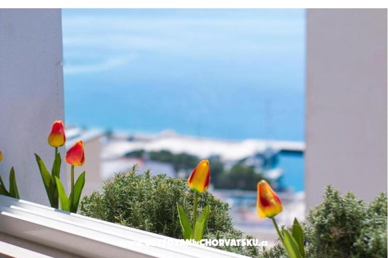 Apartmány Joni – foto 21