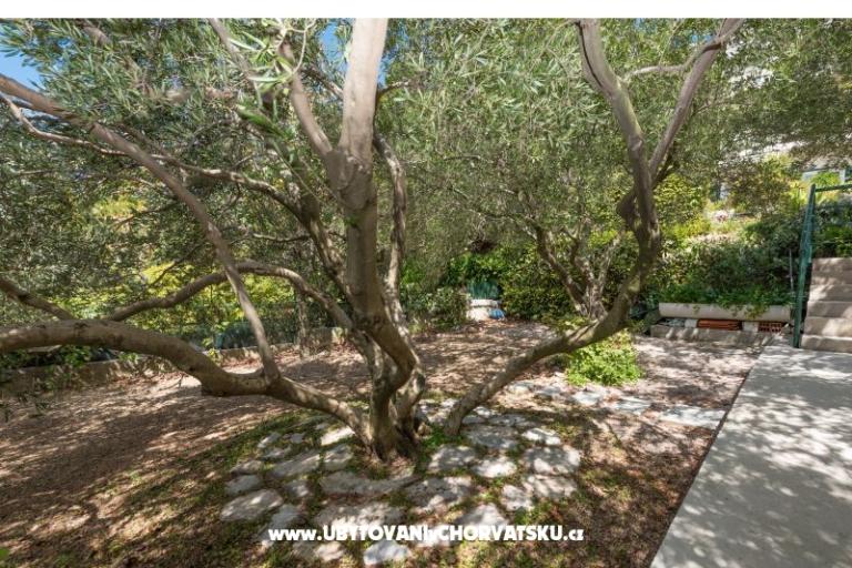 Apartmány KiS Zelić – foto 10