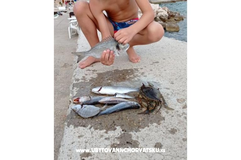 Apartmány KiS Zelić – foto 21