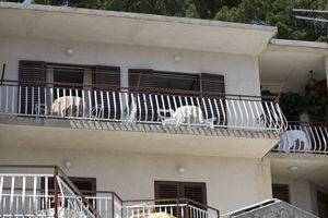 Apartmány Milenko – foto 2