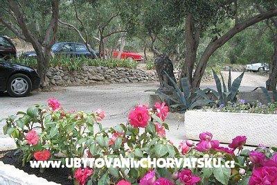 Apartmány Nada Mustapić – foto 3