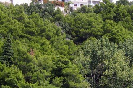 Apartmány Nela – foto 5