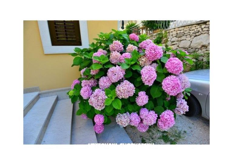 Apartmány Perla – foto 14