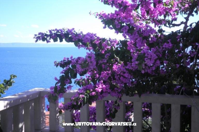 Apartmány Perla – foto 15