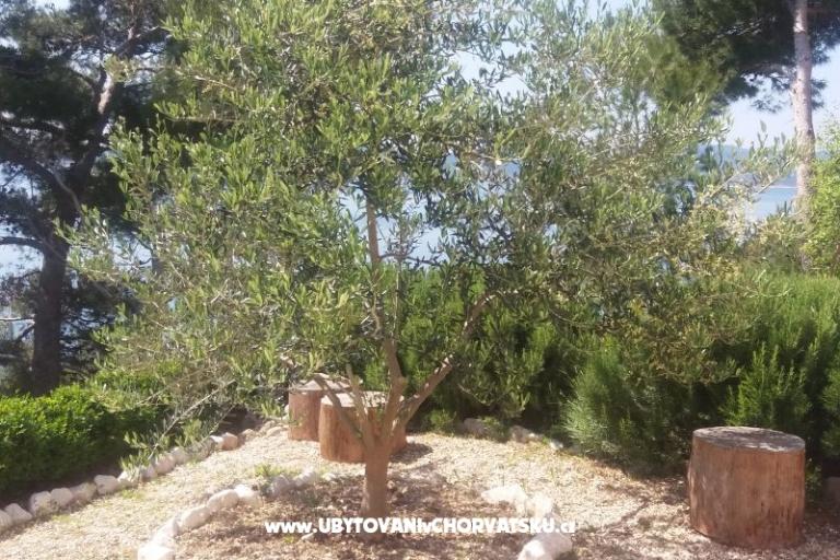 Apartmány Vesna  - Brela – foto 5