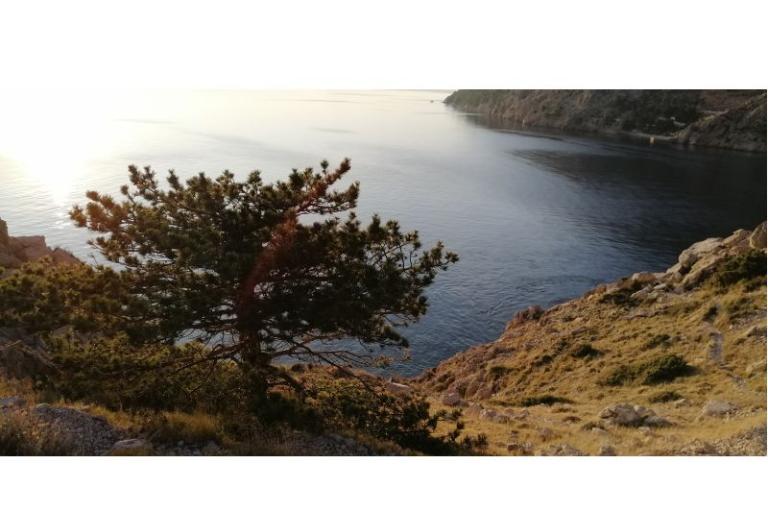 Apartmány Kate – foto 26