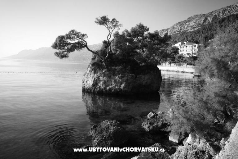 Apartmány Kate – foto 27