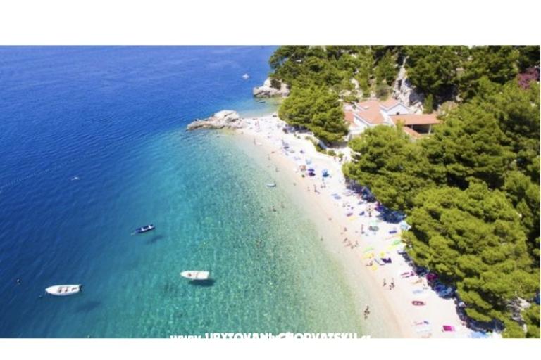 Apartmány More – foto 15