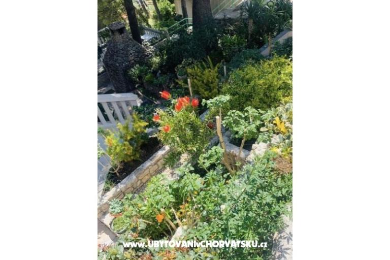 Apartmány More – foto 6