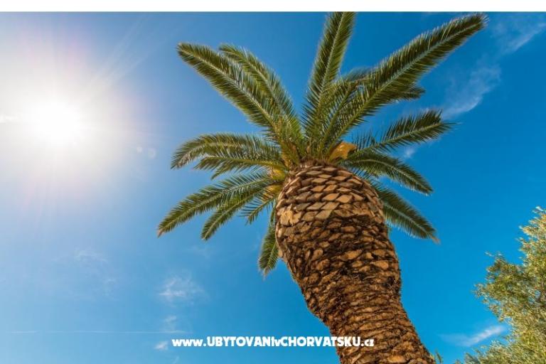 AApartmány Brela Jago – foto 3