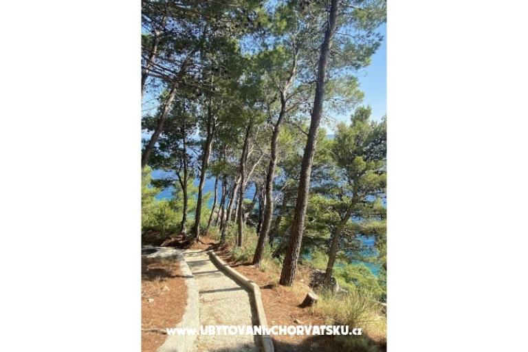 Apartmány EOL – foto 11