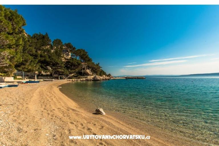 Pine Canopy Studios and Apartmány – foto 10