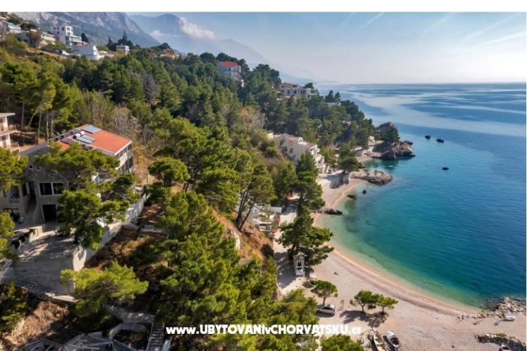 Pine Canopy Studios and Apartmány – foto 11