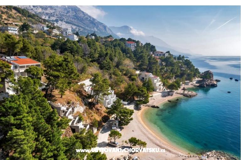 Pine Canopy Studios and Apartmány – foto 13