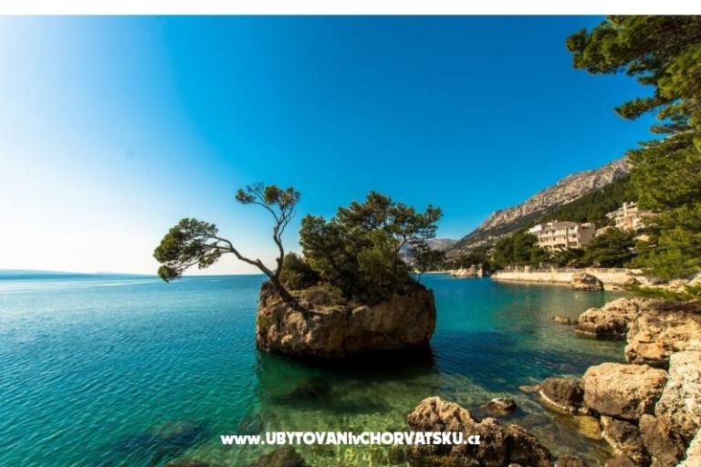 Pine Canopy Studios and Apartmány – foto 14