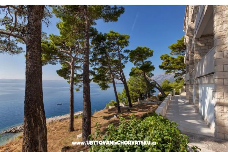 Pine Canopy Studios and Apartmány – foto 16