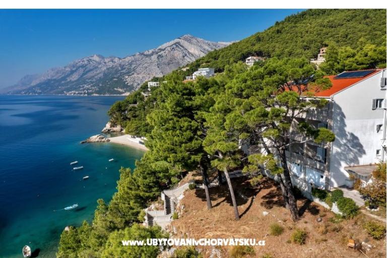 Pine Canopy Studios and Apartmány – foto 2