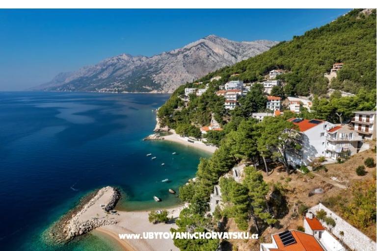 Pine Canopy Studios and Apartmány – foto 3