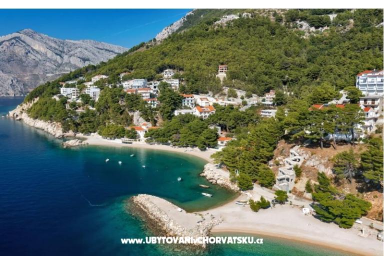 Pine Canopy Studios and Apartmány – foto 4