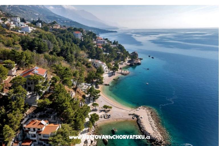 Pine Canopy Studios and Apartmány – foto 7