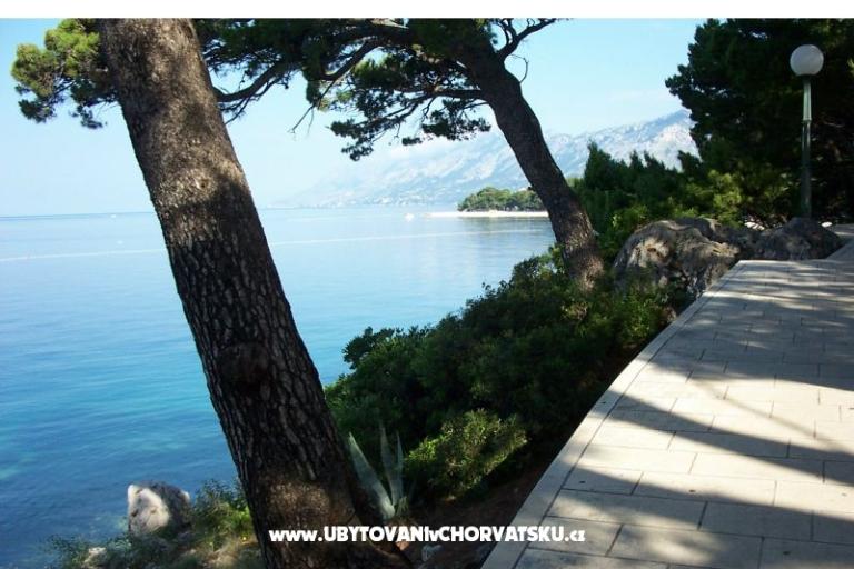 Villa Daniela – foto 11