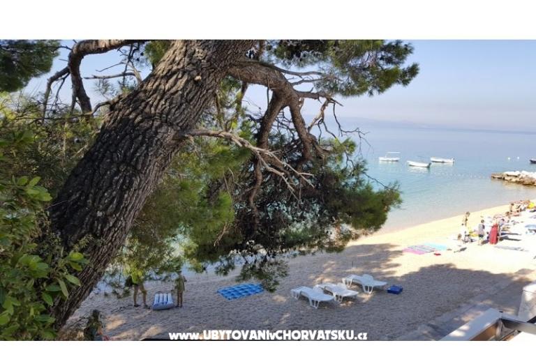 Dům Pokoje Pokoj Villa Sodan – foto 11