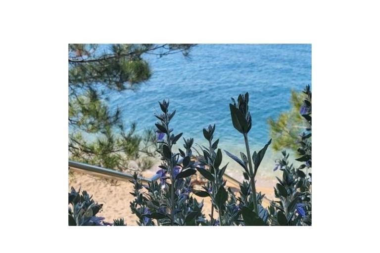 Dům k odpočinku – foto 4