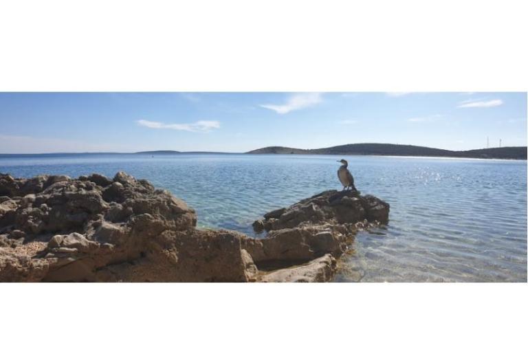 Ubytování Julia – foto 11