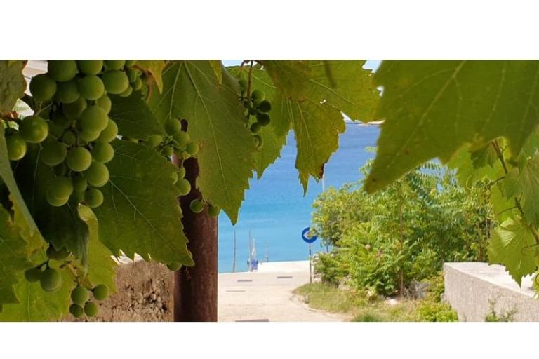 Ubytování Julia – foto 9