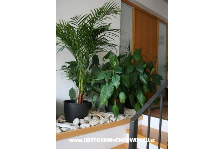 Apartmány Katarina – foto 4
