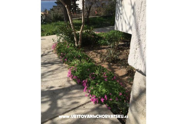 Apartmán Sunny – foto 8