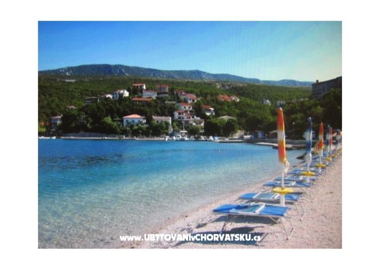 Luka Sočković – foto 10