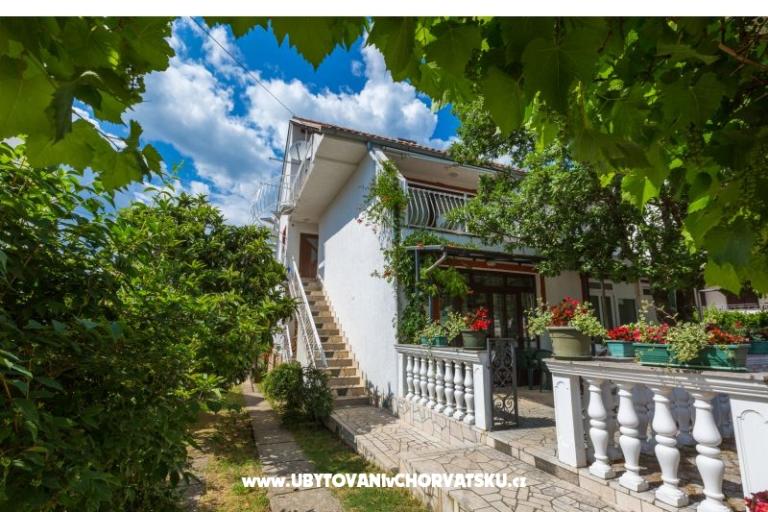 Luka Sočković – foto 2