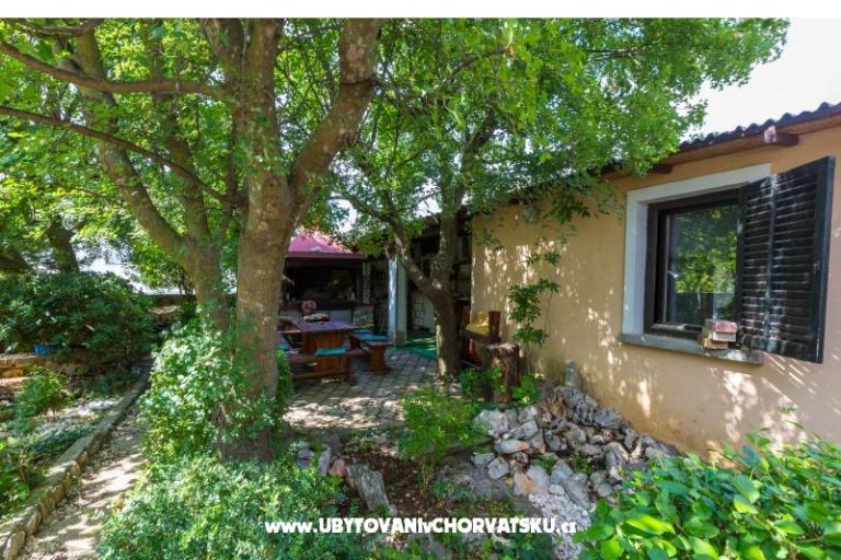 Luka Sočković – foto 4