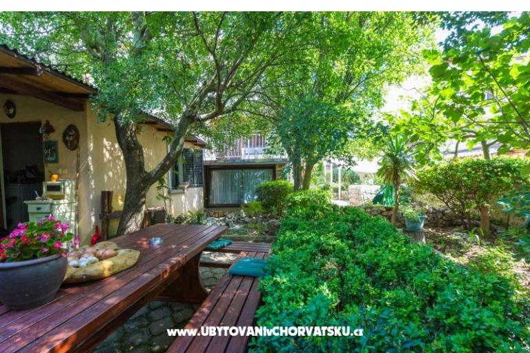 Luka Sočković – foto 8