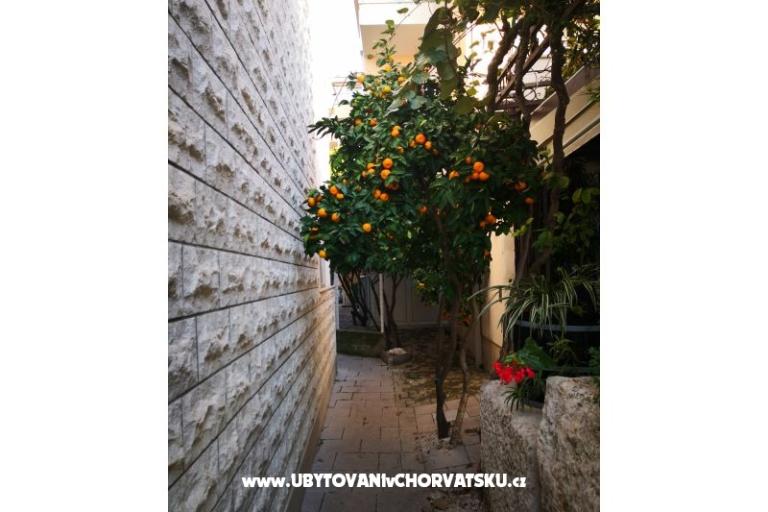 Apartmány Alač – foto 3